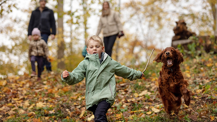 Pojke springer ner för en backe i en skog. Håller en pinne i handen. Hund springer efter.